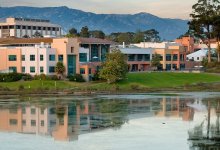 Issues, Approaches & Consequences Covid-19 Crisis