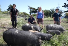 Gaviota Givings Delivers Ranch-Raised Pork