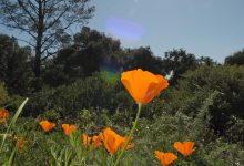 Distancing Rules Set Out for Activities Outdoors