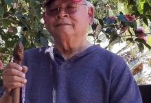 David John (DJ) Rodriguez