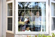 COVID-19 Week Four: Windows on Our World