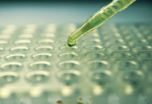 High-Tech, Low-Cost COVID Test Created Using CRISPR Protein