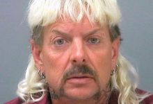 Review | TV: Tiger King: Murder, Mayhem and Madness