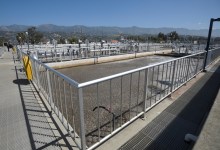 Could Poop Hold the Key to Measuring COVID-19 in the Population?