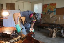 Golden Coast Burls Combats Climate Change