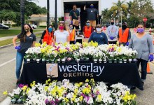 Carp’s Westerlay 100,000 Orchids Challenge