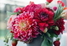 (Stay at) Home & Garden Special Issue 2020