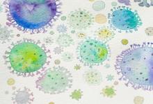 COVID-19 Artist Relief Grants Available