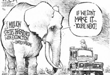 Oil and Endangered Species Don’t Mix
