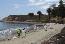 Virtual Open House on Refugio Beach Oil Spill Restoration Proposals