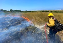 Vegetation Fire Near More Mesa