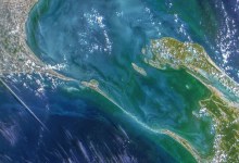 Science Pub From Home: Hawkeye Ocean Satellite