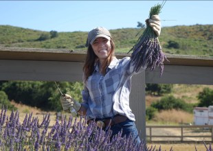 Meet Santa Barbara County’s Lavender Lady