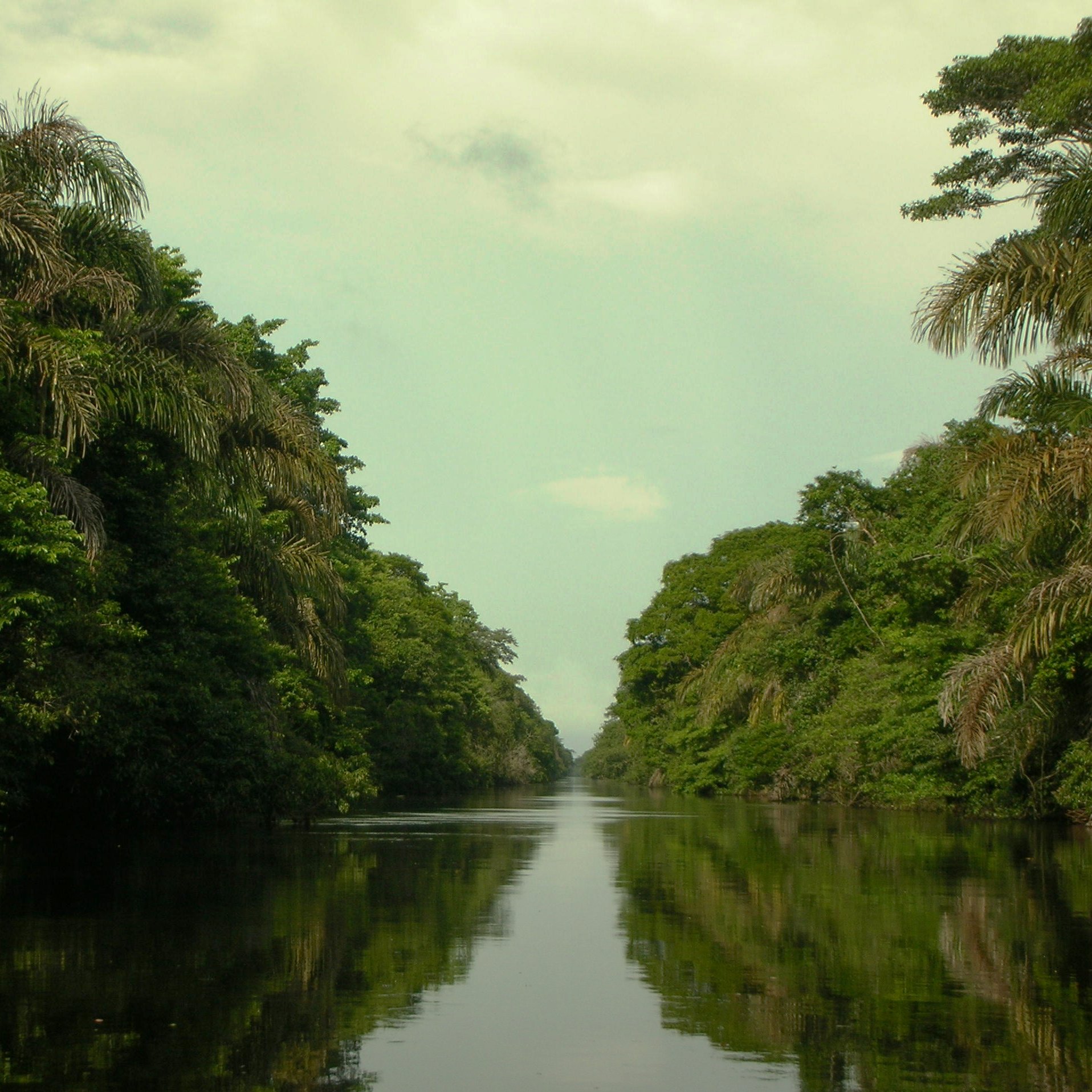 Forest, Water, and Struggle: Environmental Movements in Costa Rica