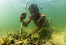 NatureTrack Film Festival Goes Virtual Oct.9-18