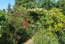 Localizing Our Food System