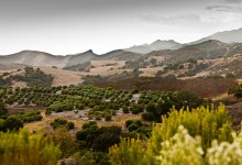 The Land Trust for Santa Barbara County Nationally Recognized