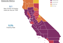 Santa Barbara Still Stuck in Purple COVID-19 Tier