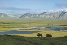 Public Trust Screening