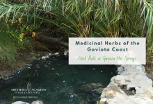 Herb Walk at Gaviota Hot Springs