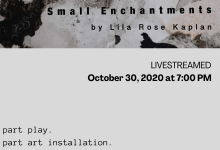 small enchantments: an immersive theatrical adventure for zoom or a real forest