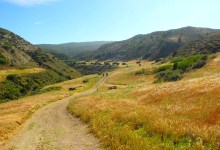 Envisioning an Inn on Santa Rosa Island