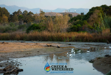 Goleta’s First Creek and Watershed Management Plan Adopted by City Council