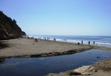 Arroyo Burro Beach Cleanup