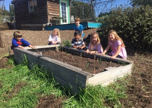 Santa Ynez Valley Charter School Grows Green Thumbs