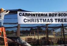 Carpinteria Boy Scouts Christmas Tree Lot 2020