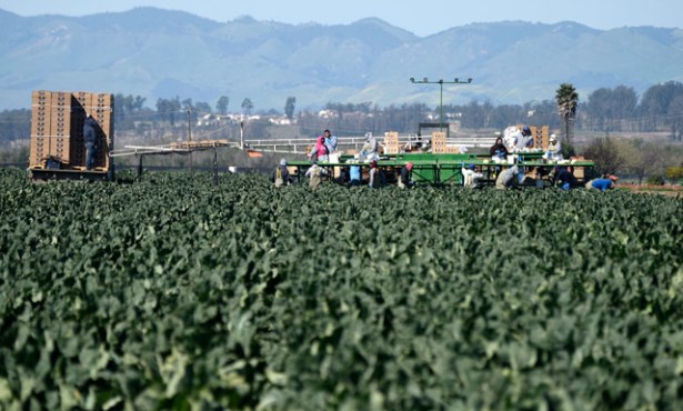 Agencies Join Forces to Protect Farmworkers