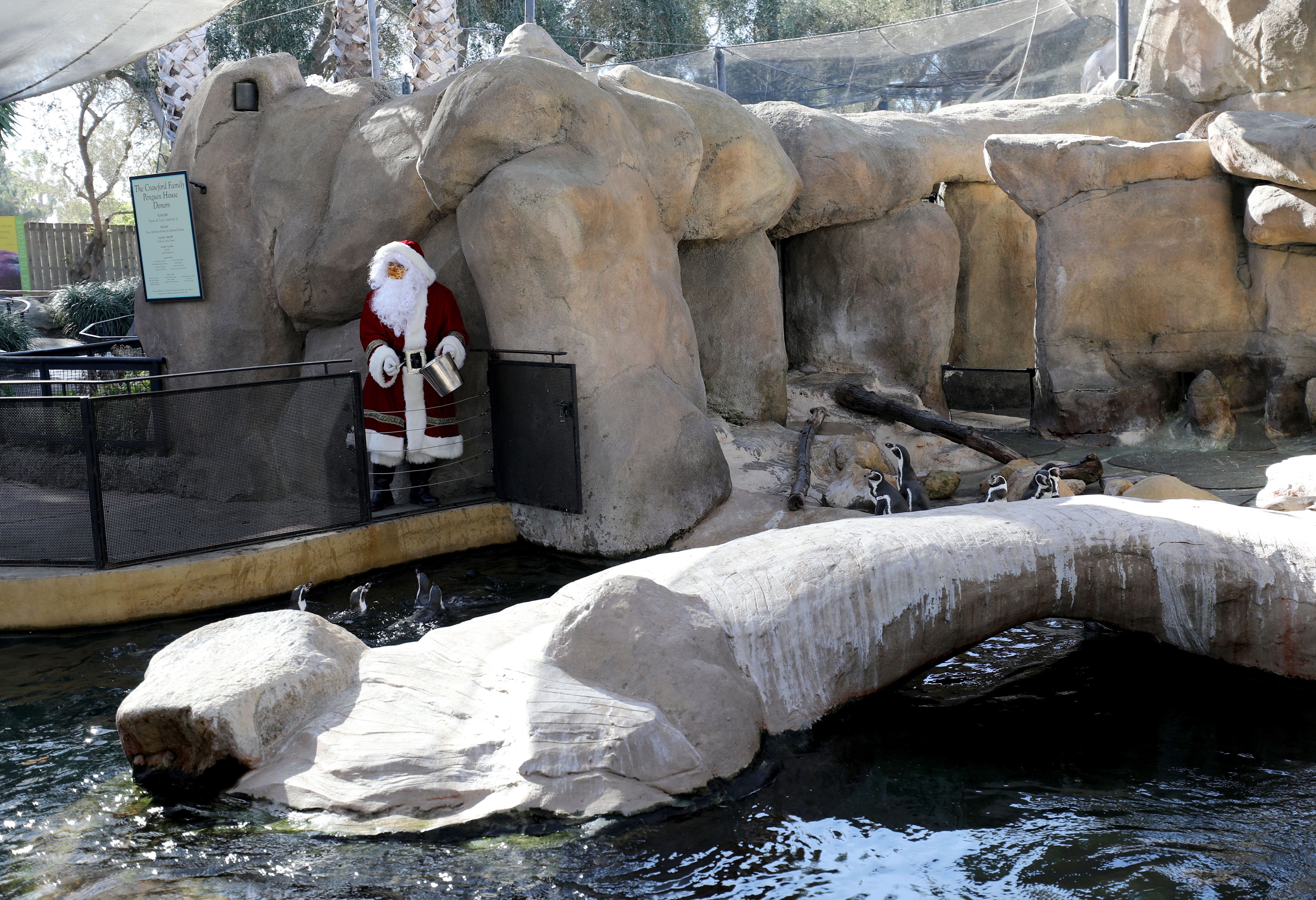 Santa Claus Comes To Santa Barbara Zoo - The Santa Barbara Independent
