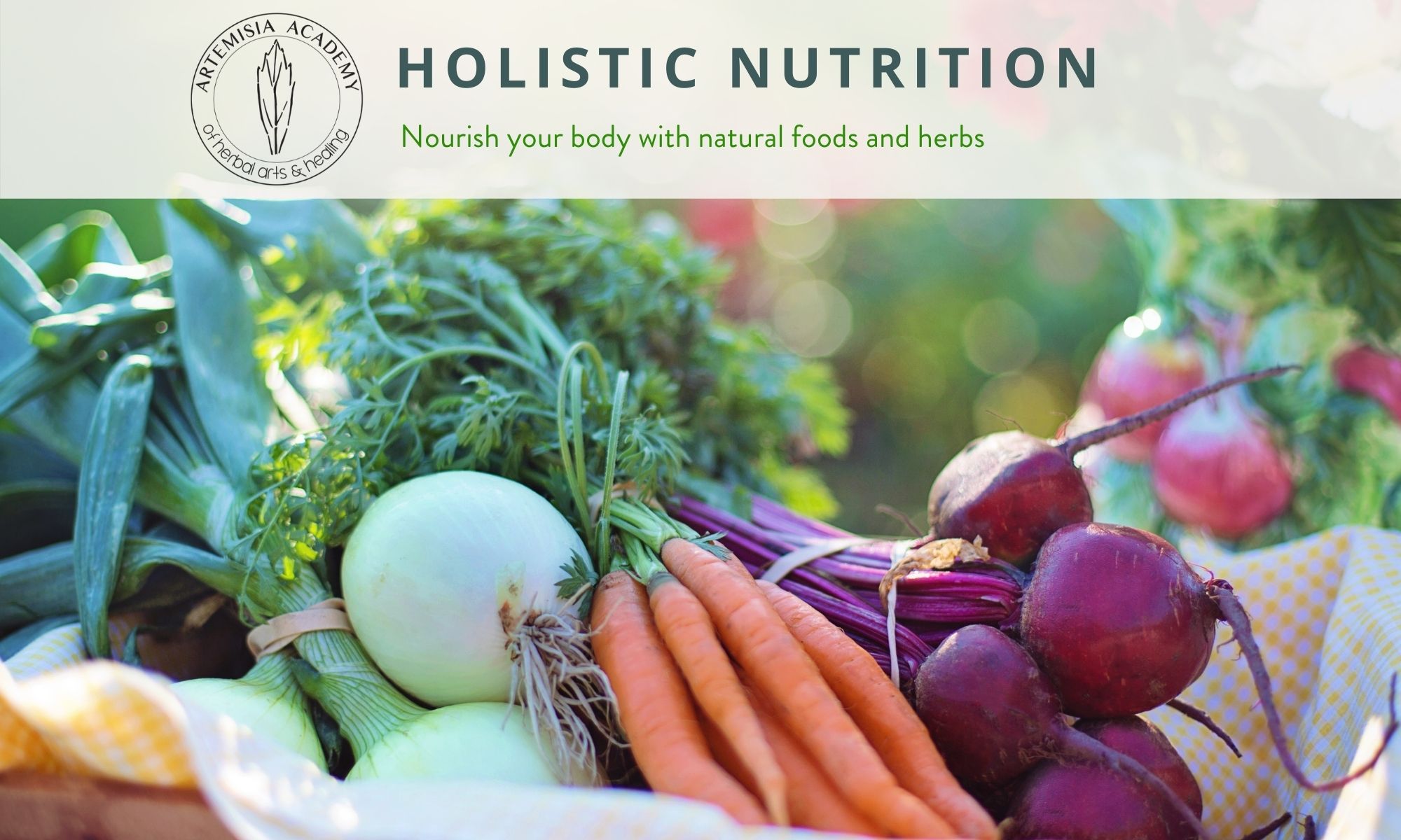 Holistic Nutrition 12 hour online course The Santa Barbara Independent