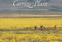 Chuck Graham’s ‘Carrizo Plain: Where the Mountains Meet the Grasslands’