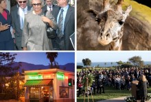 The Indy’s Best from 2020