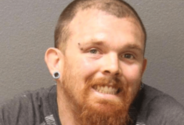 Former Santa Maria Resident Pleads Guilty to Elephant Seal Killing