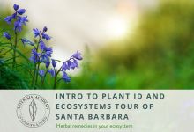 Intro to Plant Identification & Ecosystems Tour
