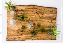What’s Ahead in Home Decor