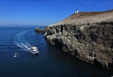 Island Packers Back Open for Business