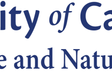 Vegetable Gardening for the True Beginner