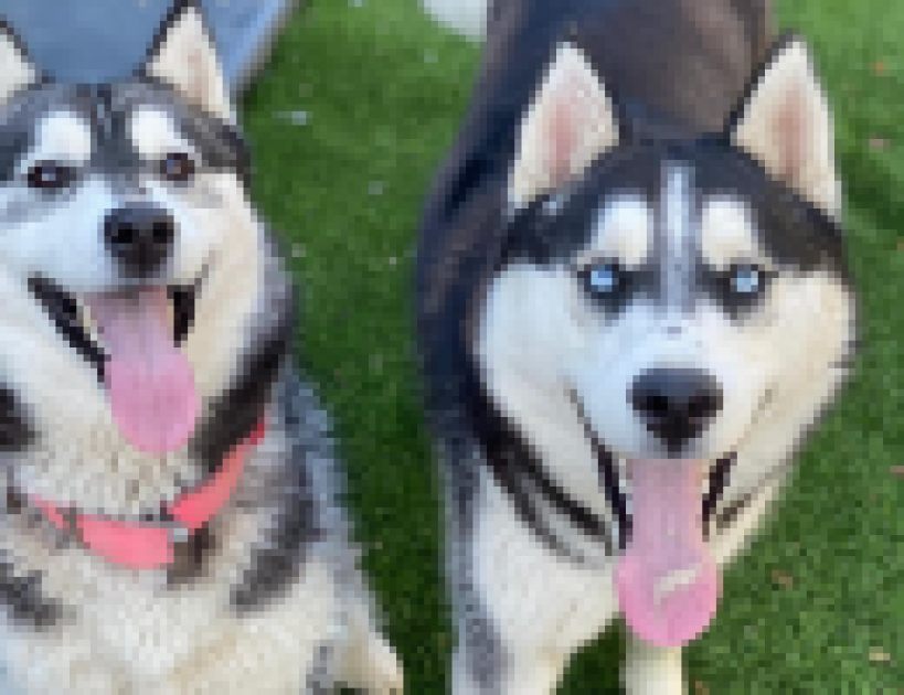 Missie and Mortar