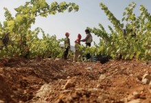 The Historic Pairing of ‘Wine & War’