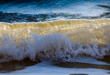 Summer in Winter exhibition