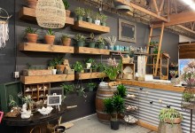 Dirt Botanicals Reveals Retail Studio