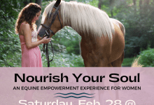 Nourish Your Soul Equine Workshop for Women