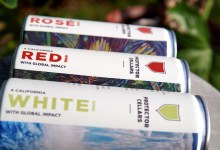 Can Protector Cellars Be World’s First Climate-Positive Winery?