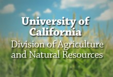 Zoom Workshop: Vegetable Gardening for the True Beginner