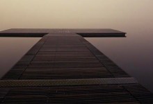 Zoom Event: Embracing Ecological Uncertainty through Narrative