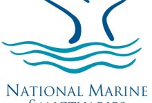 Online Meeting: Channel Islands Sanctuary Advisory Council