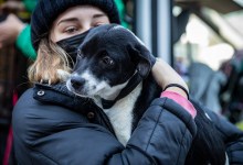 Texas Storm Refugees Still up for Adoption